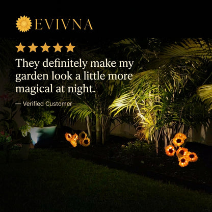 EVIVNA Sunglow™
