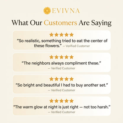 EVIVNA Sunglow™